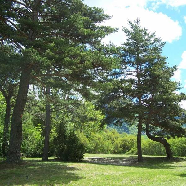 emplacement camping drome