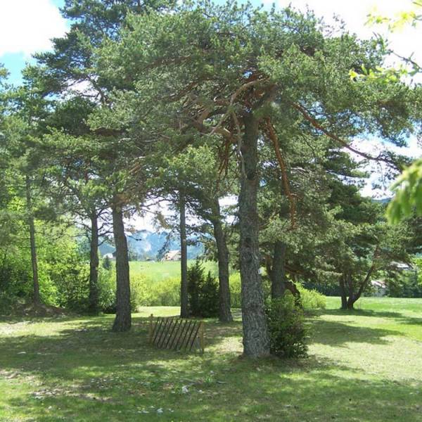 emplacement drome