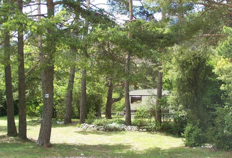 emplacement dans foret